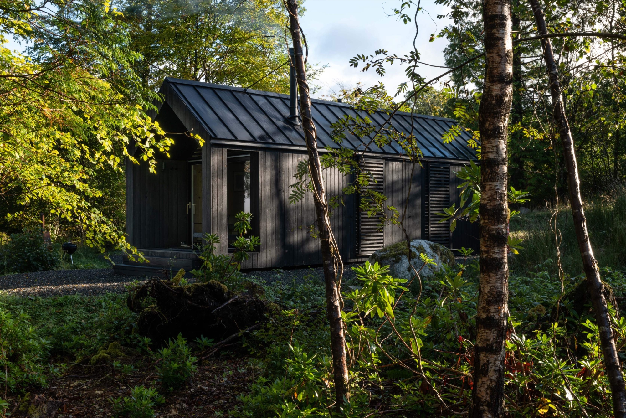 A dark timber cabin with a pitched metal roof stands among ferns and birch trees.